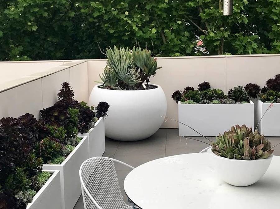 Best Balcony Plant Hire in Sydney | Terrace Landscaping