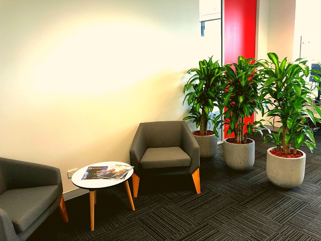 office plant hire